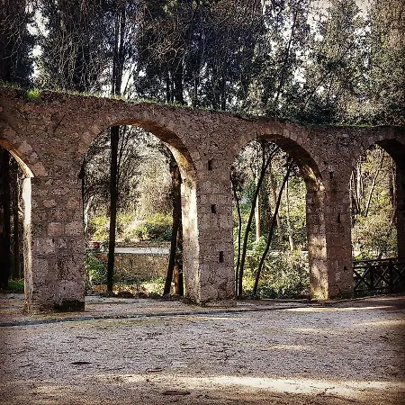 Rodini House *